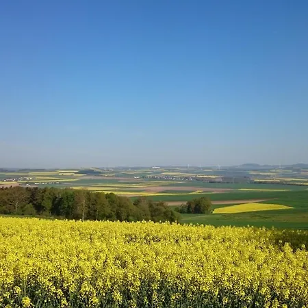 Maifeld Wierschem